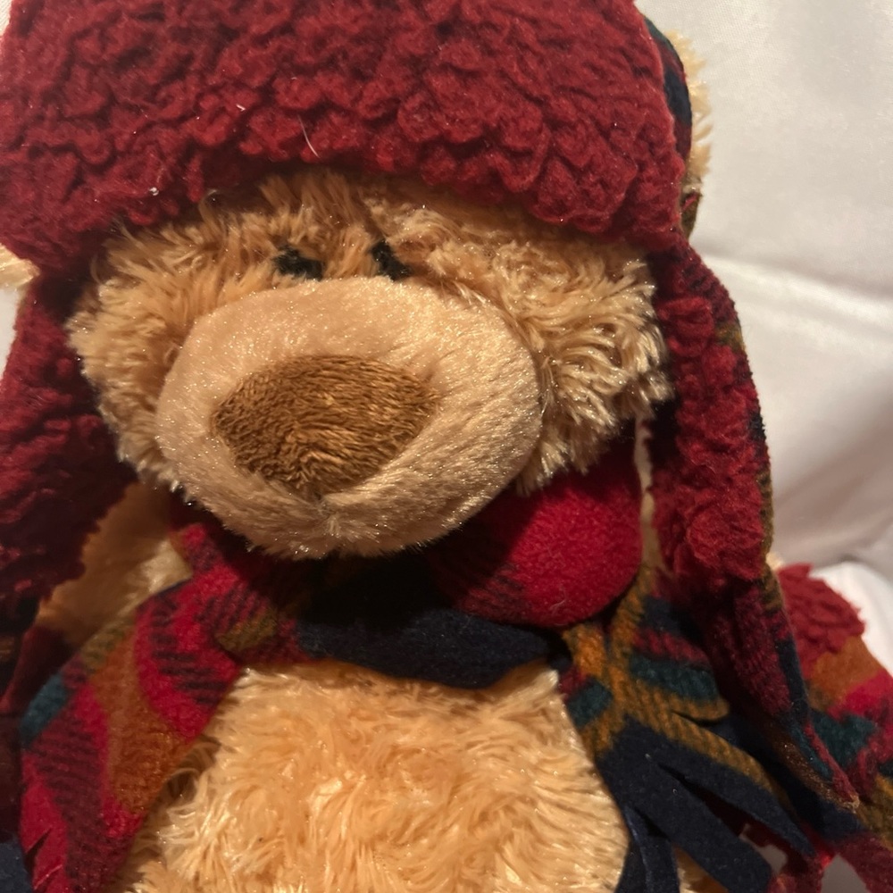 Hugfun International St. Jude Plush 18" Teddy Bear Stuffed Animal